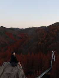 단풍 막차타러 다녀온 대전 장태산 