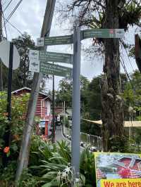 A must visit place if you are in Penang. 