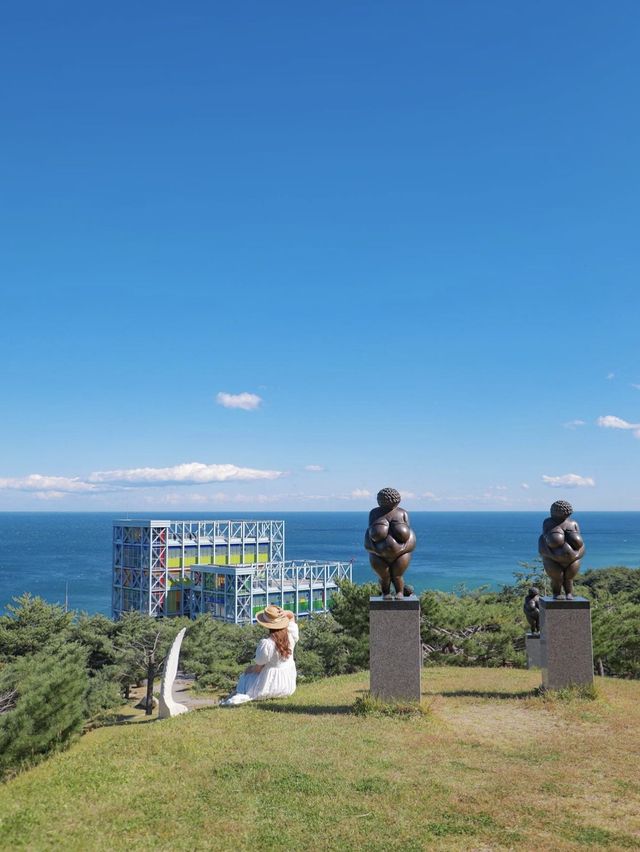 모든 곳이 포토존 ! 구역별 팁샘플 ✨강릉 하슬라아트월드💙
