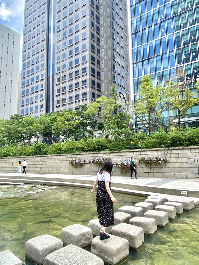 여름에는 청계천에서 탁족을☀️💦