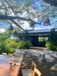 🌳🪹Buono Cafe Pattaya