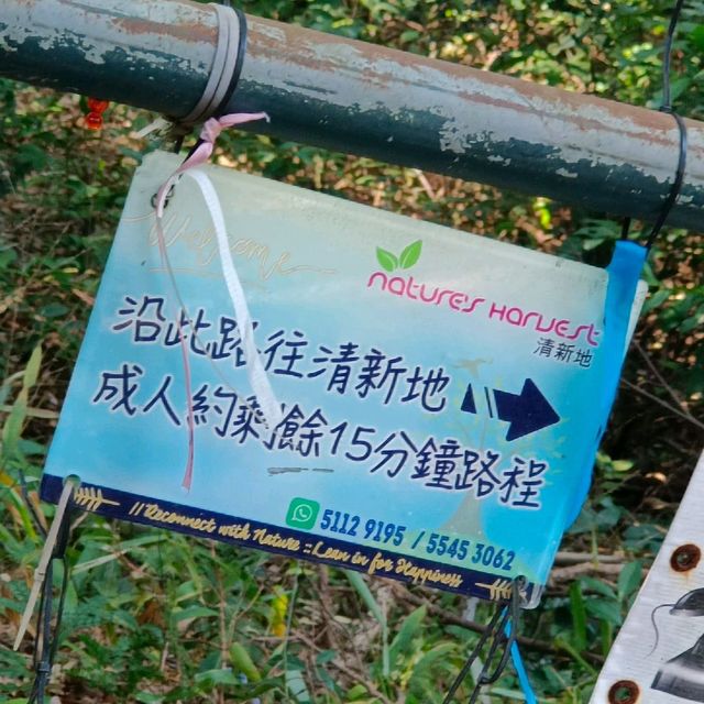 清新地 , 孩子們來到 , 肯定玩到意猶未盡！