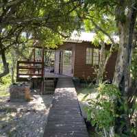 Cottage in the bush