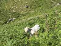 Snowdonia Park | Hiking | Easy Track