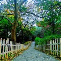 Dongyuan, a top rated park in Suzhou