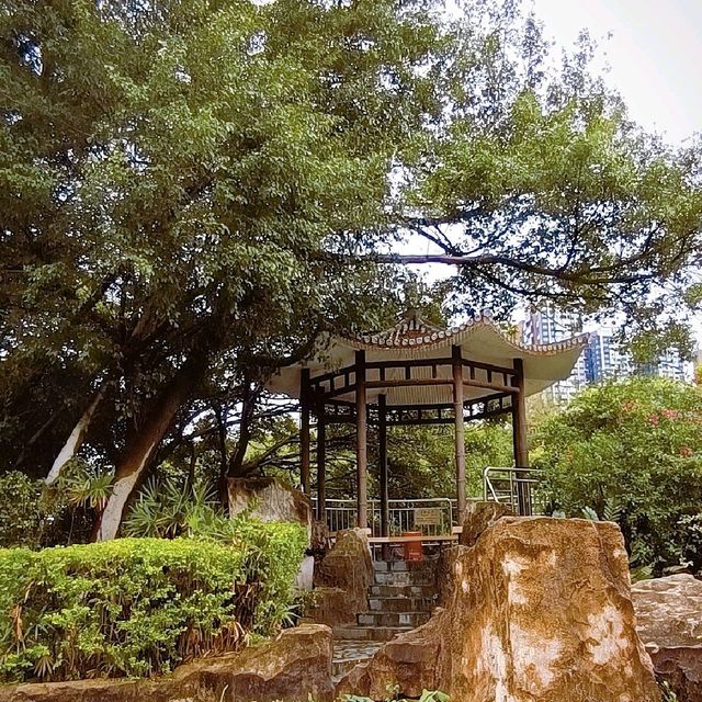 Zhongshan park, Sz ❤️