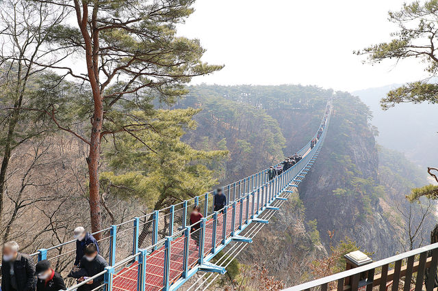 원주 소금산출렁다리 그랜드밸리