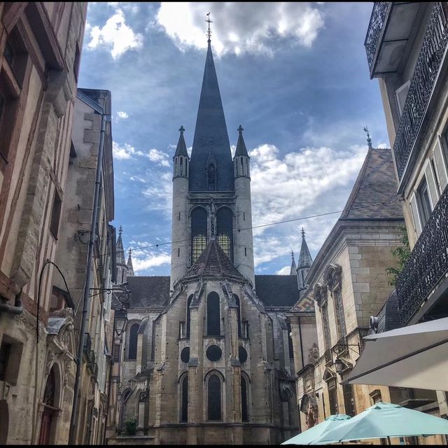 An enchanted city: Dijon - France 🇫🇷 