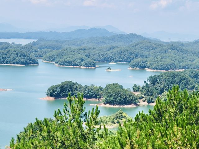 Thousand Island isn’t just a dressing!Go&C! Thousand Island isn’t just a dressing!Go&C!
