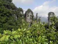 Wufeng Chaibu Creek | Zhangjiajie of Hubei people