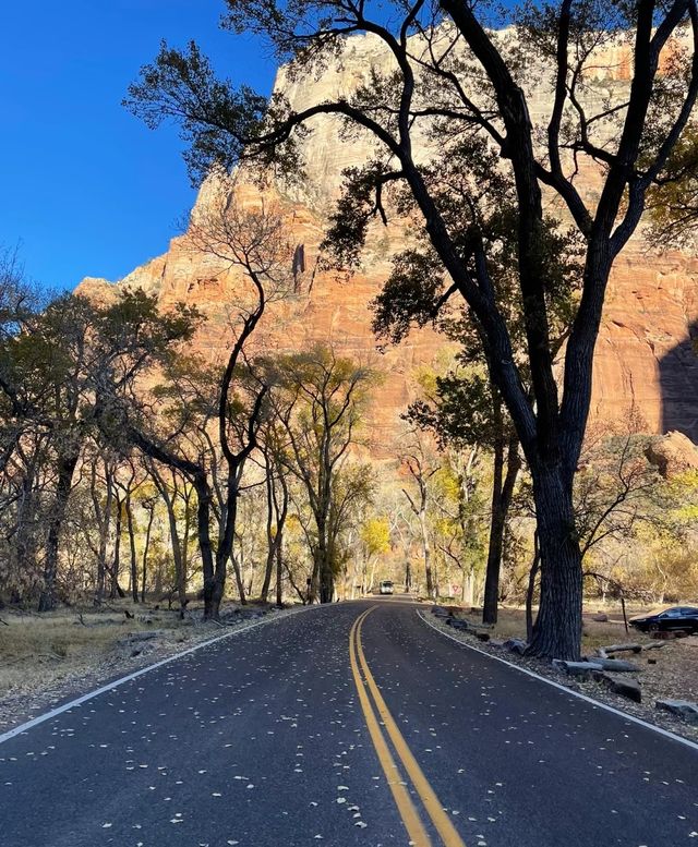 Zion National Park, isn't it a wonderful national park?