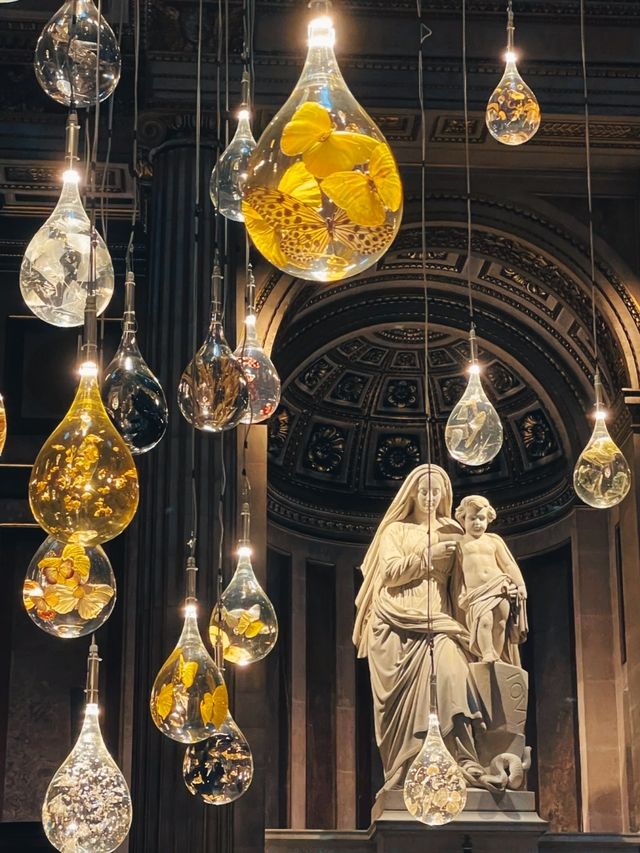 Paris Cathedral | Magdalena's Tears of Joy