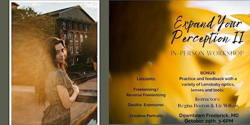 Expand your Perception II | Delaplaine Arts Center