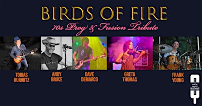 Local Artist Spotlight: Birds of Fire | The Collective - Encore