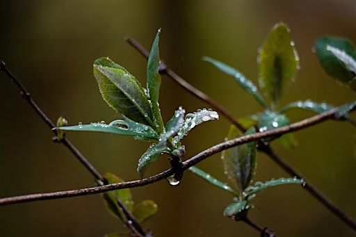 Photography Workshop: Composition | 58 Ratcliffe Terrace