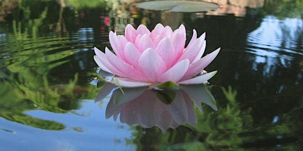 Calming the Mind - Joy of Living Level 1 (cTI-I-J1-250531) | De Anza Oaks Clubhouse