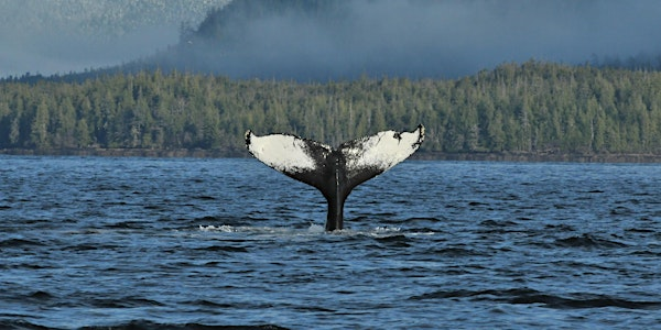 Ocean Dialogues: Stories, Science & Stewardship | Sherwood Mountain Brewhouse