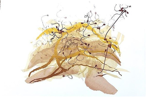 Screen printing workshop with Tara Dean | Ruthin Craft Centre