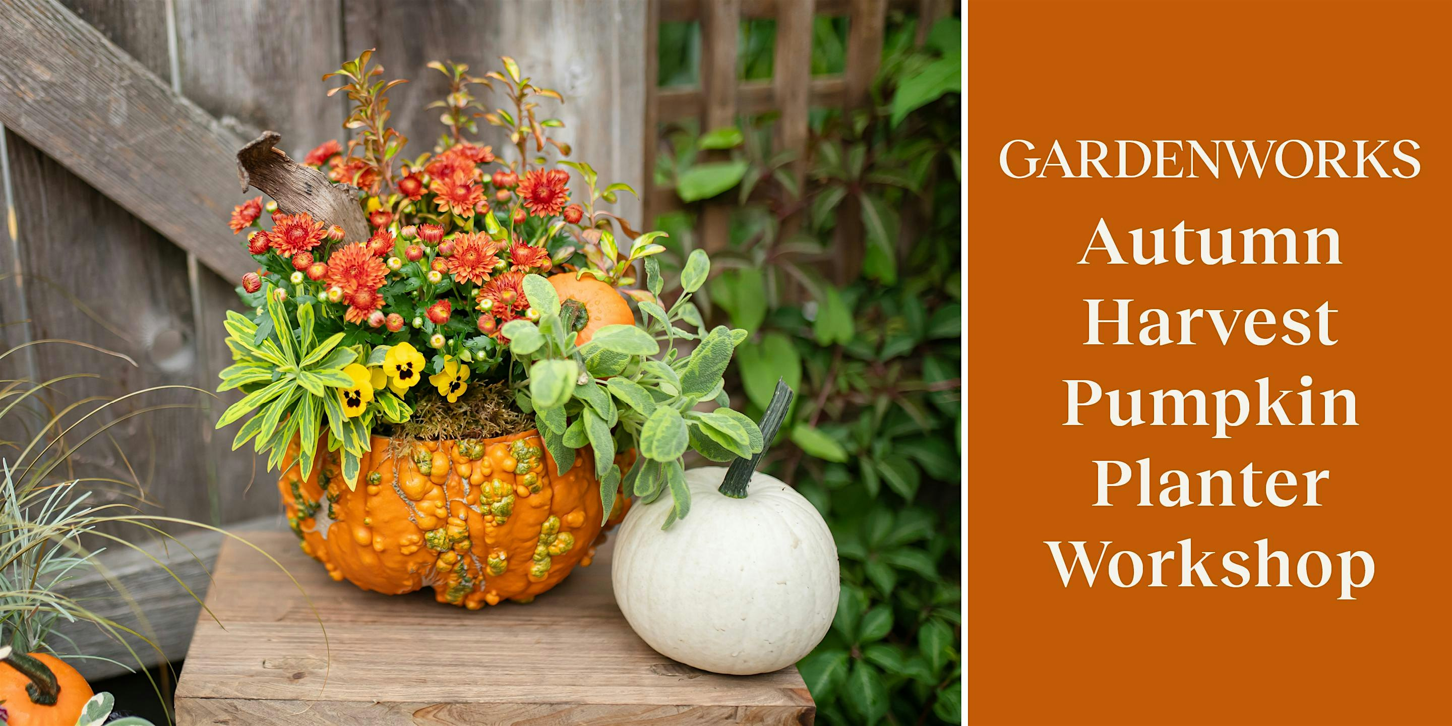 Autumn Harvest Pumpkin Planter Workshop at GARDENWORKS Burnaby-Lougheed | GARDENWORKS Burnaby-Lougheed
