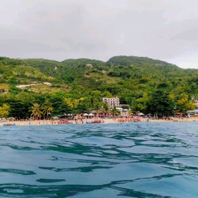 Whale Shark Watching in Oslob