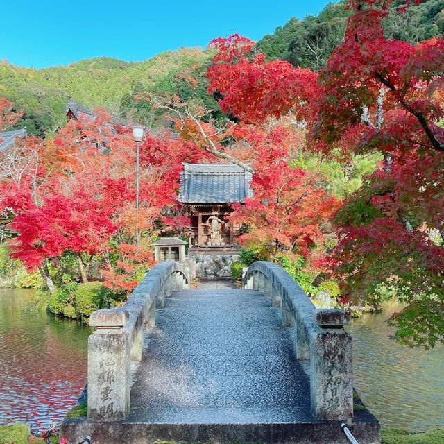 【紅葉巡り】京都ー永観堂