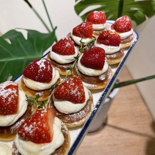 板橋寵物友善咖啡廳☕️foliage cafe圓圓小鬆餅🥞聖誕節🎄限定！