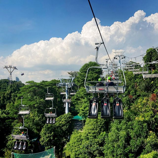 Skyline Luge Sentosa