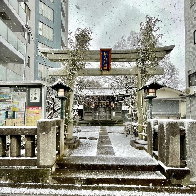 東京が雪景色に！