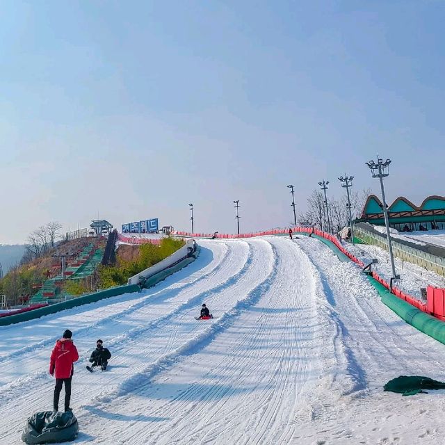 나도 드디어 눈 봤다 ❄ 