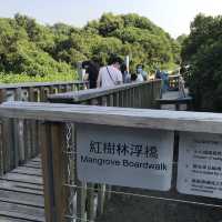 香港濕地公園