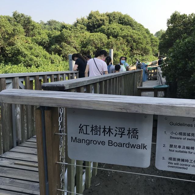 香港濕地公園