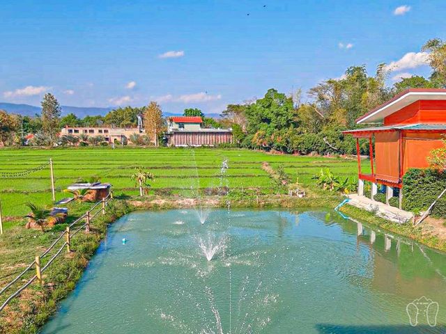 🌳 บ้านสวนอินทนนท์ ร้านอาหารและคาเฟ่ 🌳