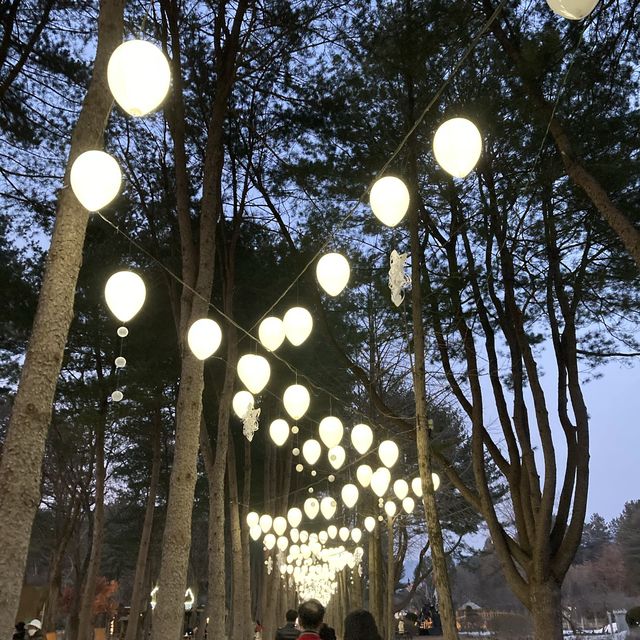 춘천 가볼만한 곳 [남이섬]