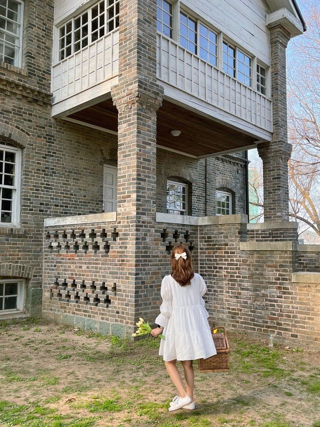 🤍 광주 유럽풍 피크닉 명소 🤍
