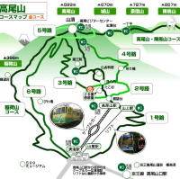 高尾山に行ってきました！