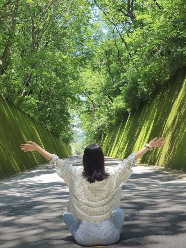 바로 지금, 여행 : 단양 이끼터널