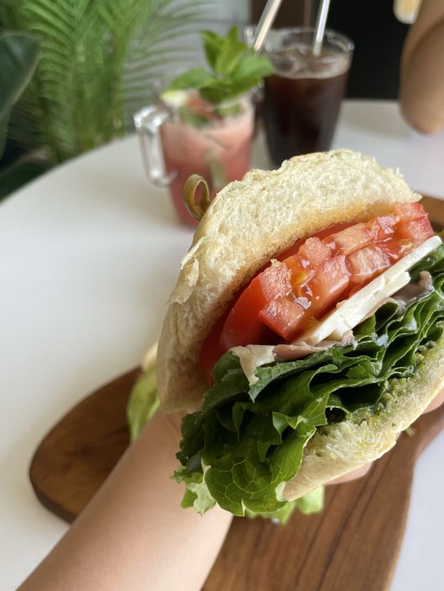 양양 아침식사 하기 좋은 브런치집 🥪