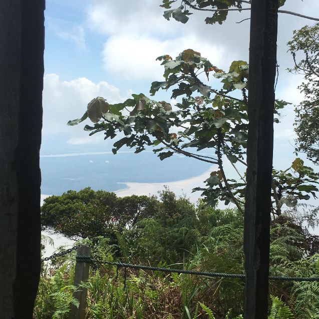 rainforest hiking in Borneo 