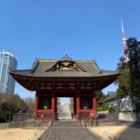 【東京】夜と朝の増上寺