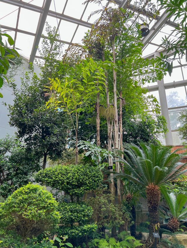 향긋한 풀내음과 힐링하기 좋은 실내데이트 코스🌿