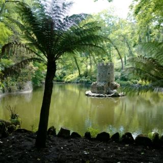 해외여행 신트라 Parque Nacional da Pena 숲