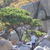 Hiking Exercise Bukhansan 