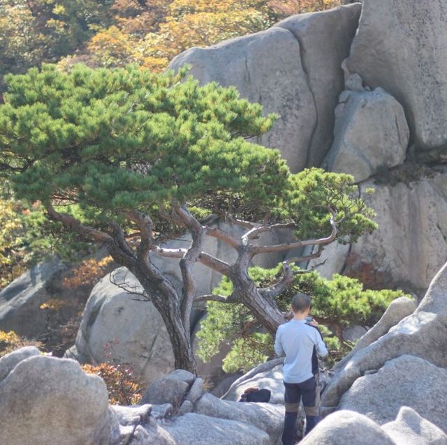 Hiking Exercise Bukhansan 