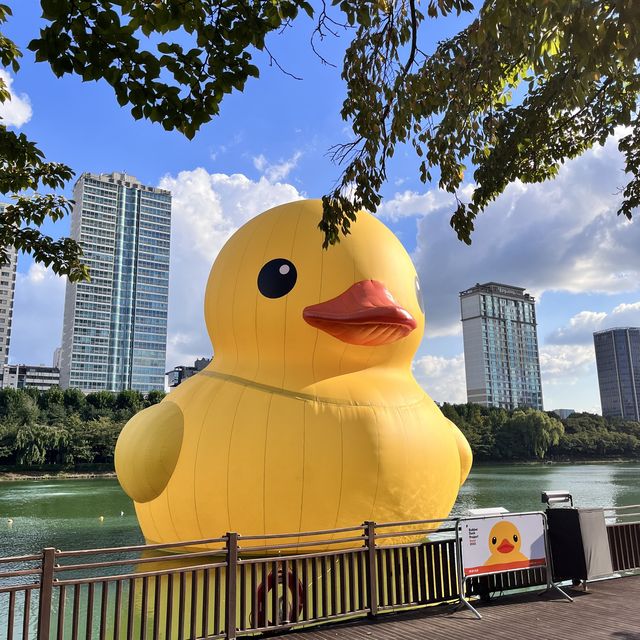 오리 꽥꽥🐤 러버덕과 찐오리들의 만남❤️