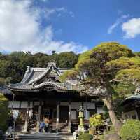 修善寺竹林の小怪【静岡県/修善寺 】