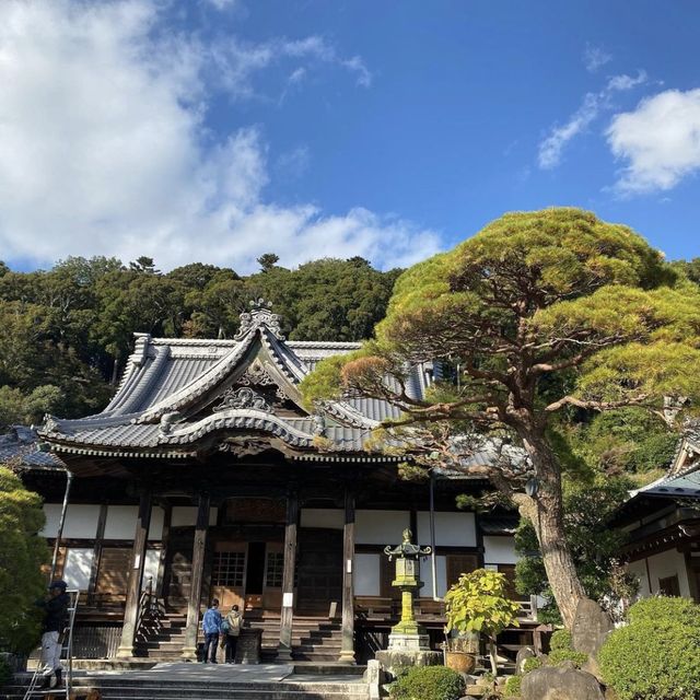 修善寺竹林の小怪【静岡県/修善寺 】