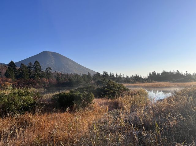 【青森】穴場の紅葉スポット🍁睡蓮沼