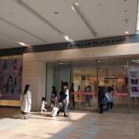 ステラの新スポット〜チラリート〜