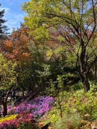 가을 정취 느끼러 곤지암 화담숲🍁