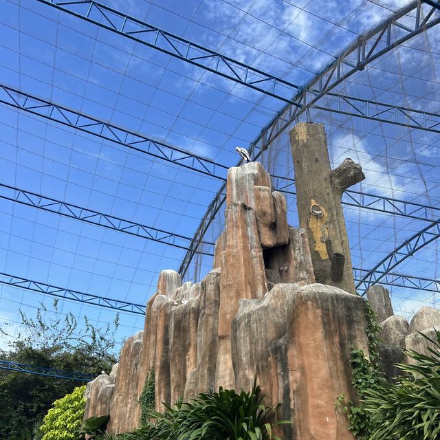ชมความน่ารักของสัตว์โลกที่ King’s garden 